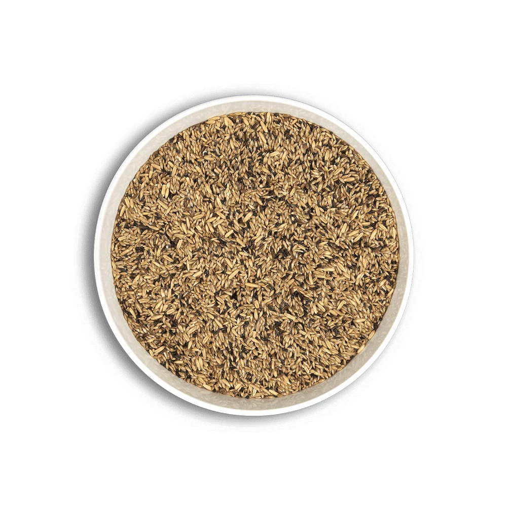 Alimento para Aves Cunipic Canarios 1 Kg - Image 3
