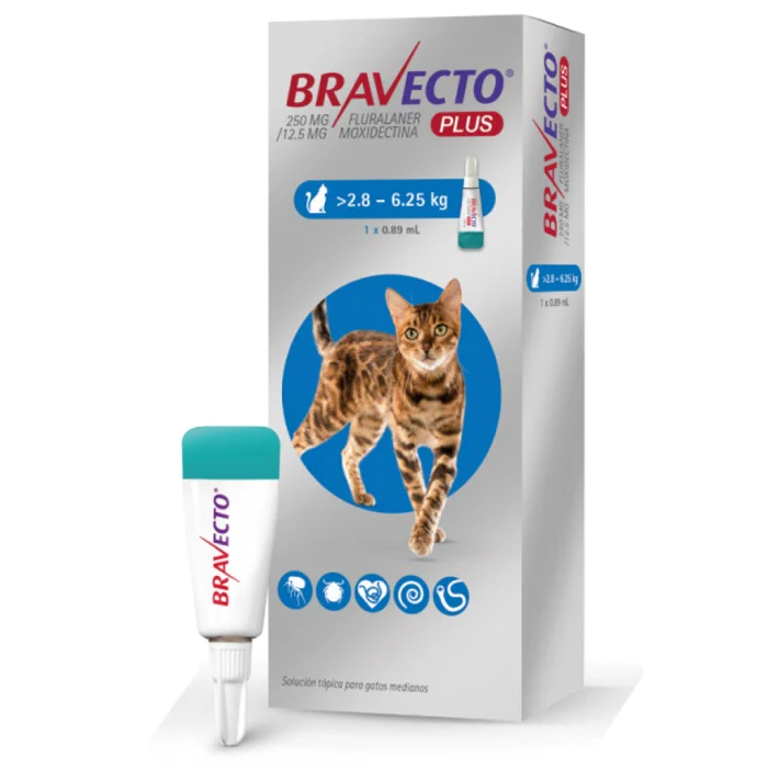 Bravecto Plus Para Gatos - Image 3