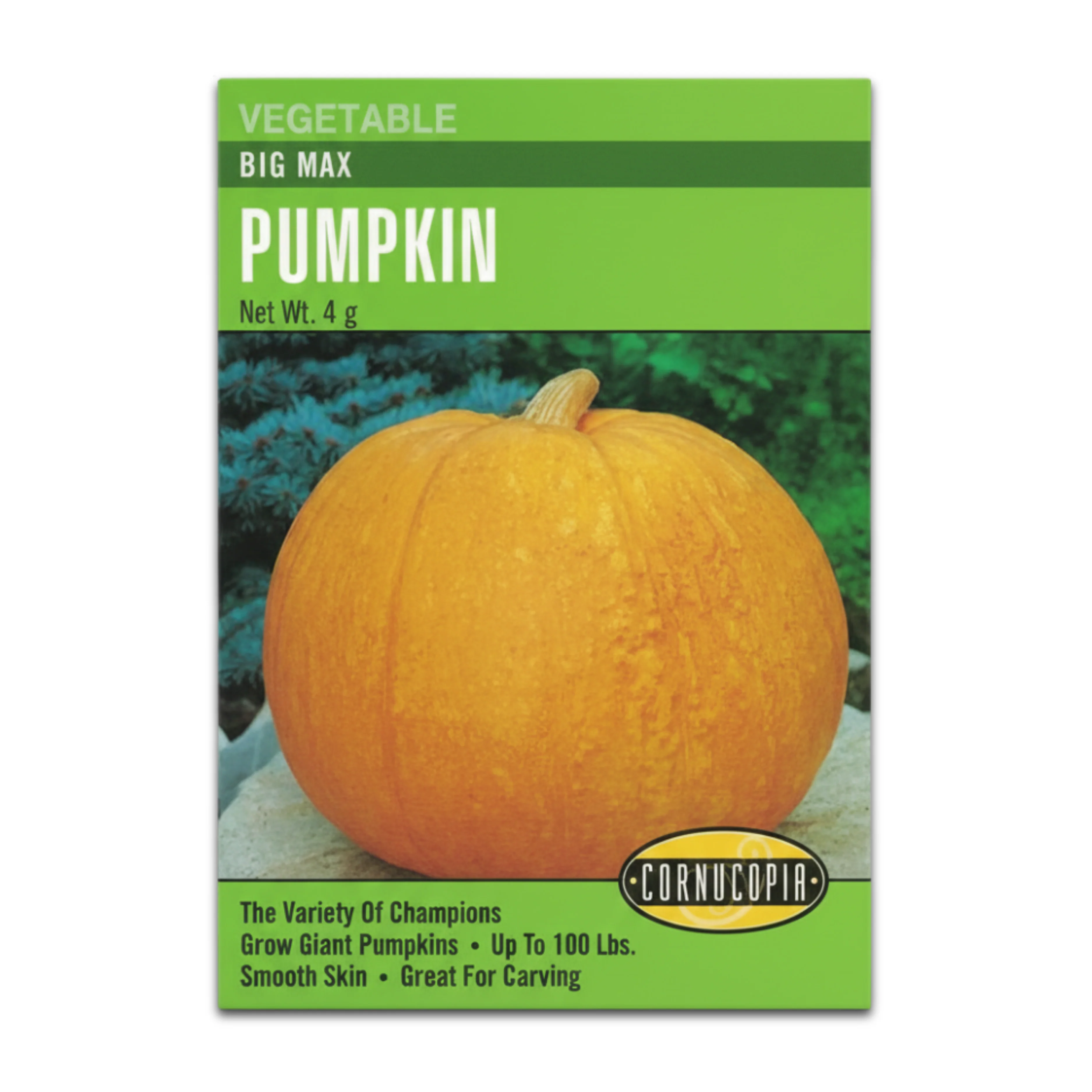 Calabaza Big Max