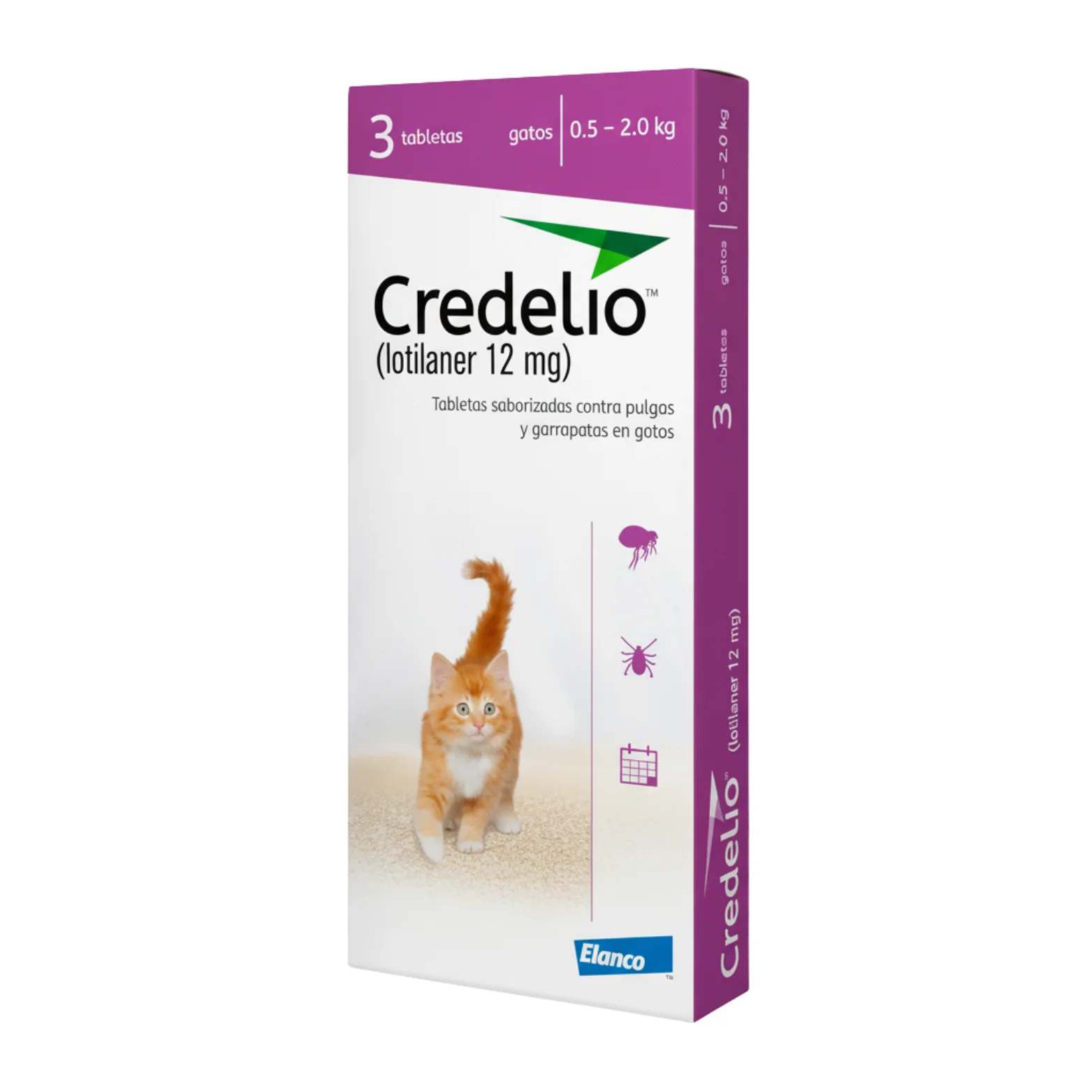 Gatos