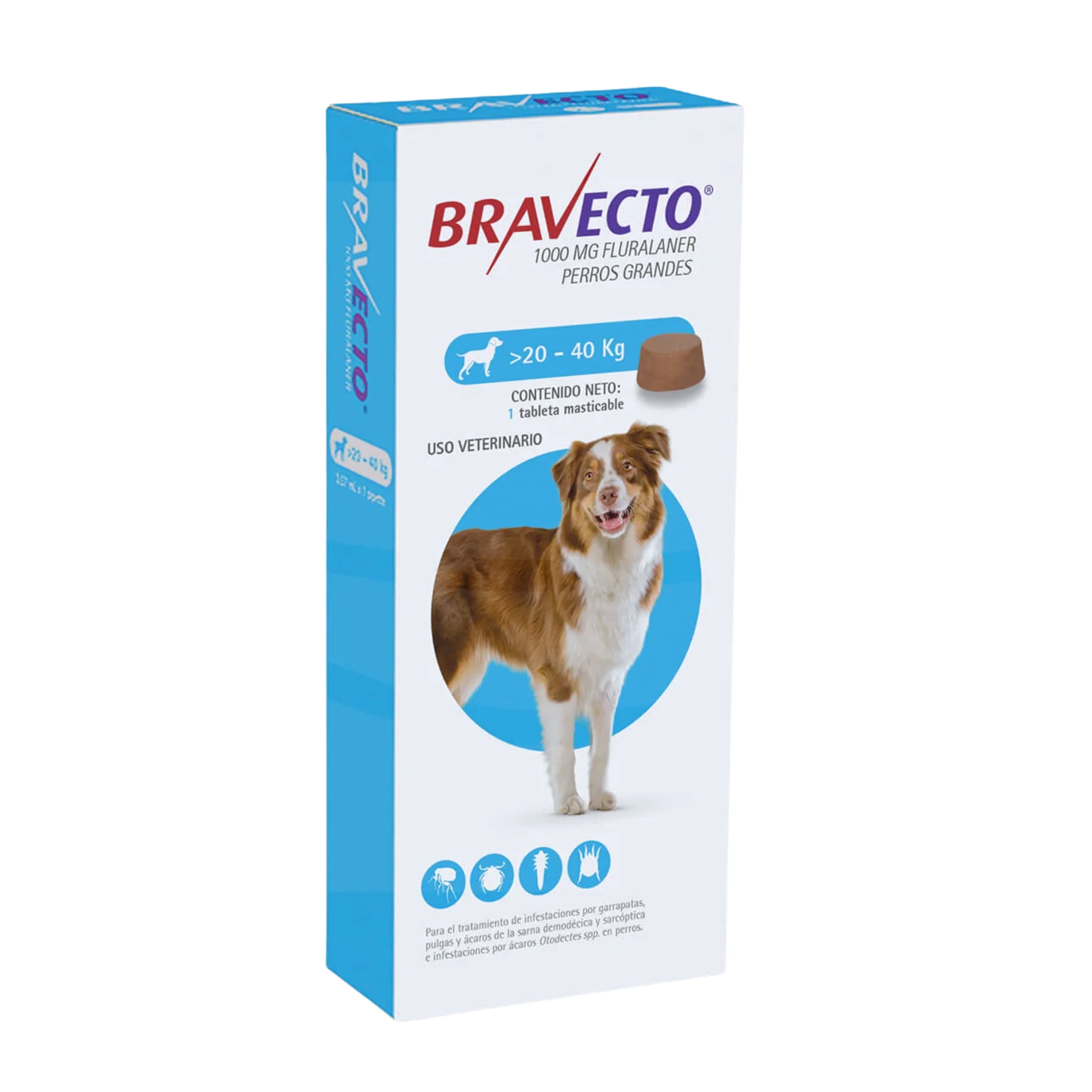 Desparasitante Externo Bravecto para Perros 3 Meses - Image 5