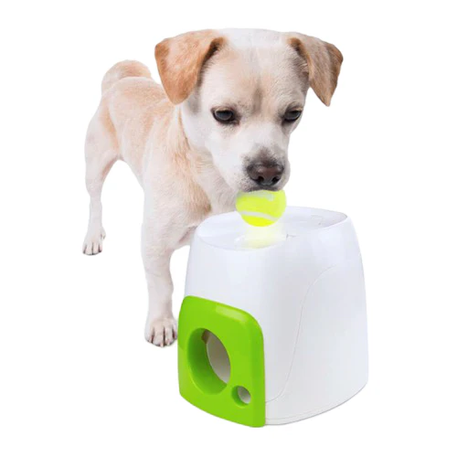 Juguete Interactivo Fetchin Treat - Image 2