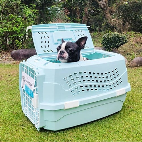 Kennel Celeste Para Mascota - S - Image 3