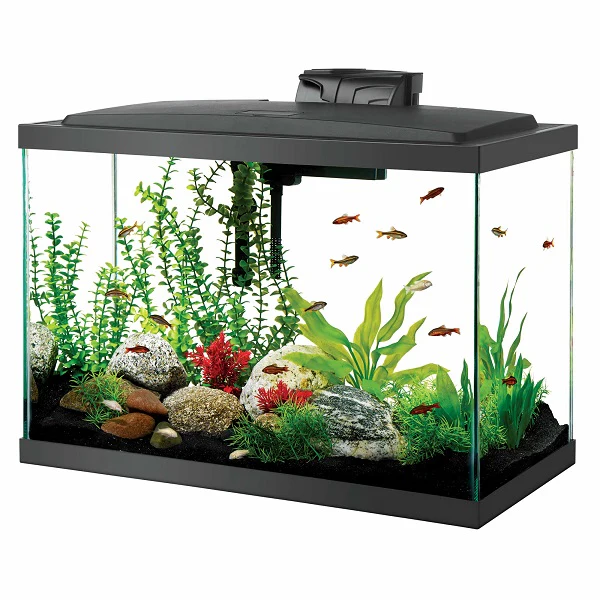 Kit De Pecera Con Led 20 Galones - Image 2