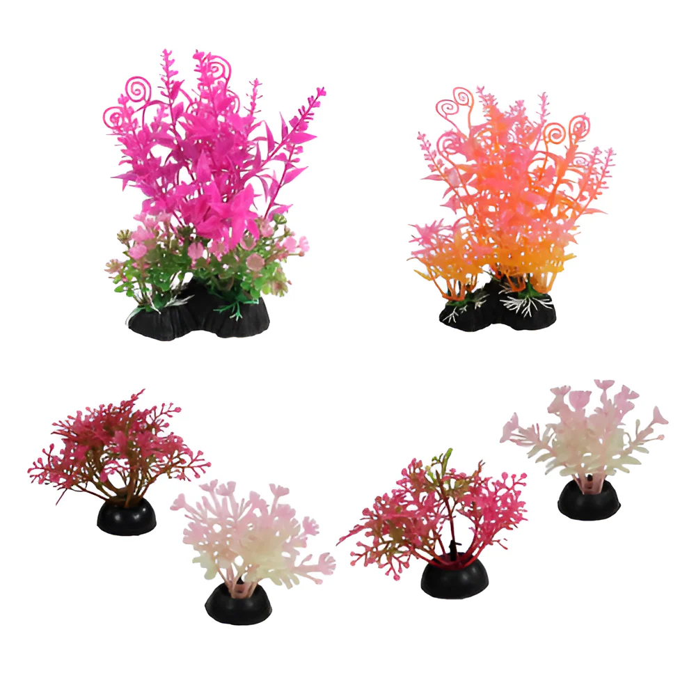 Kit De Plantas Para Pecera 6-PC - Image 2