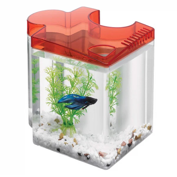 Kit Para Betta Rompecabezas Rojo - Image 2
