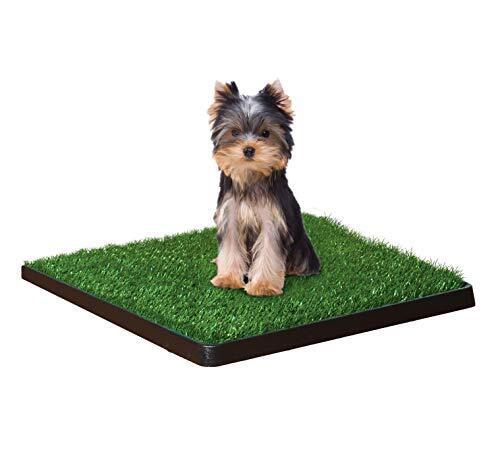 Litera Para Perro Sm Potty - Image 2