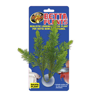 Planta Salvia Para Betta