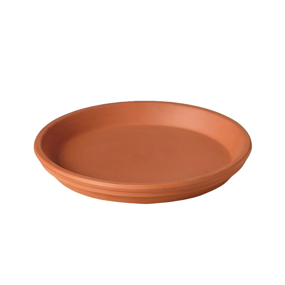Plato Standard Para Pote 15Cm