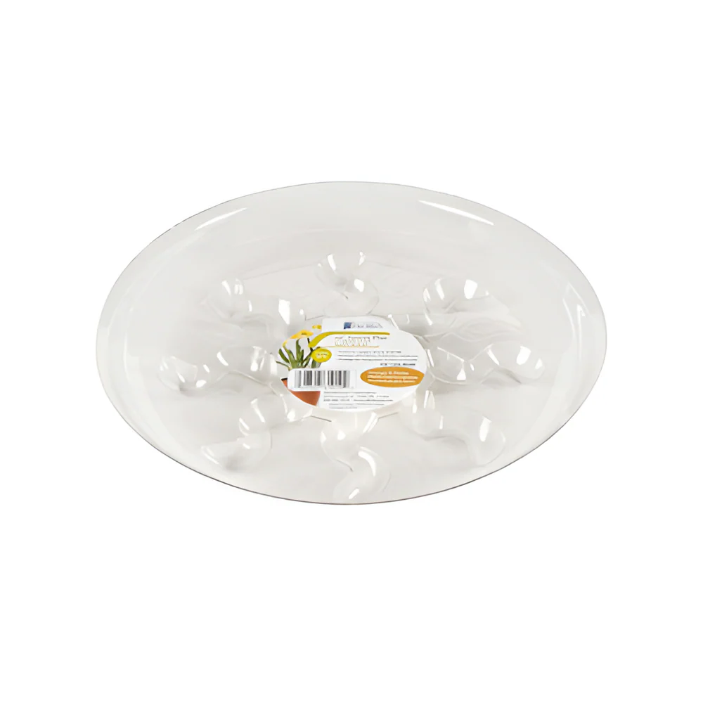 Plato Transparente para Potes 6"