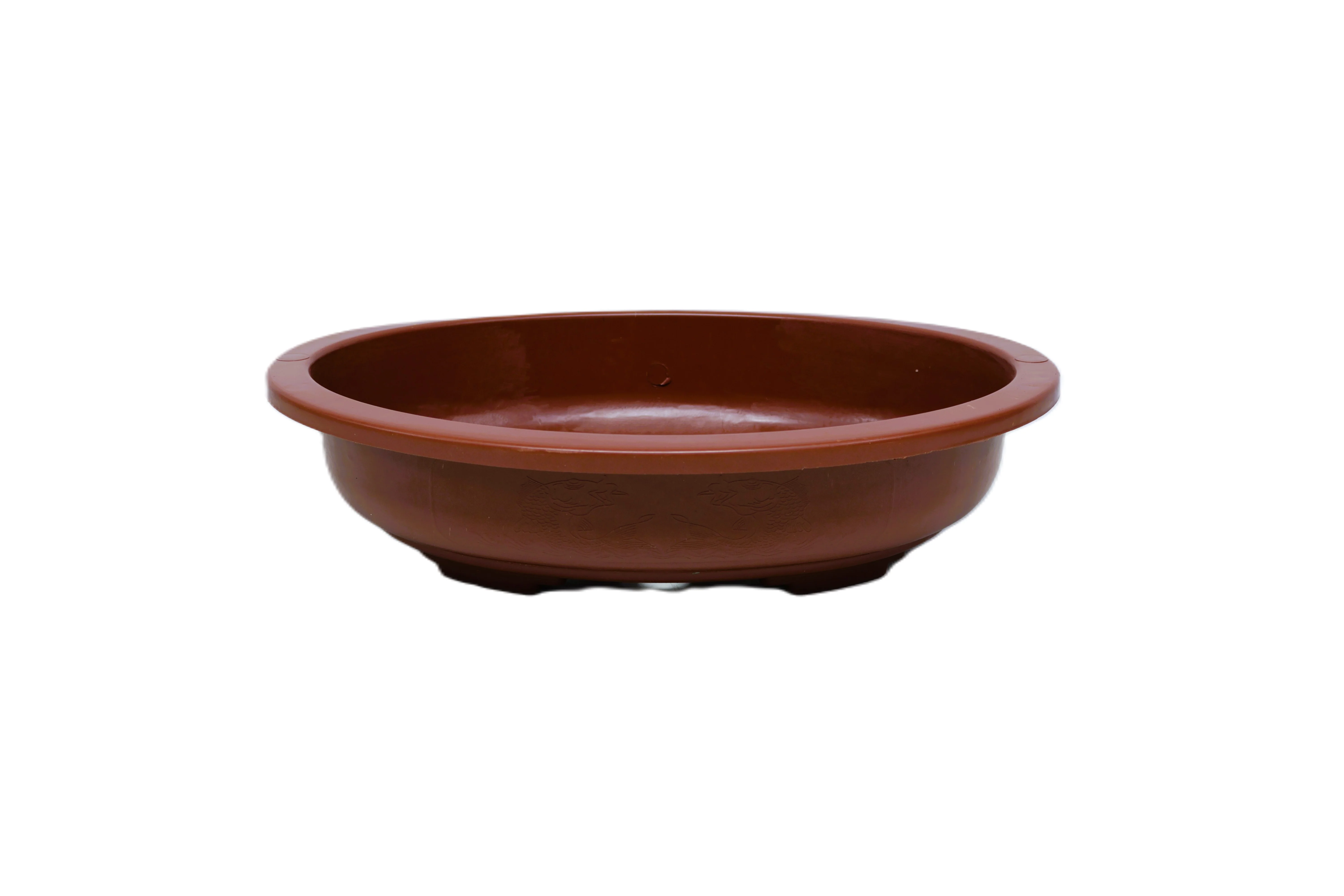 Pote Para Bonsái