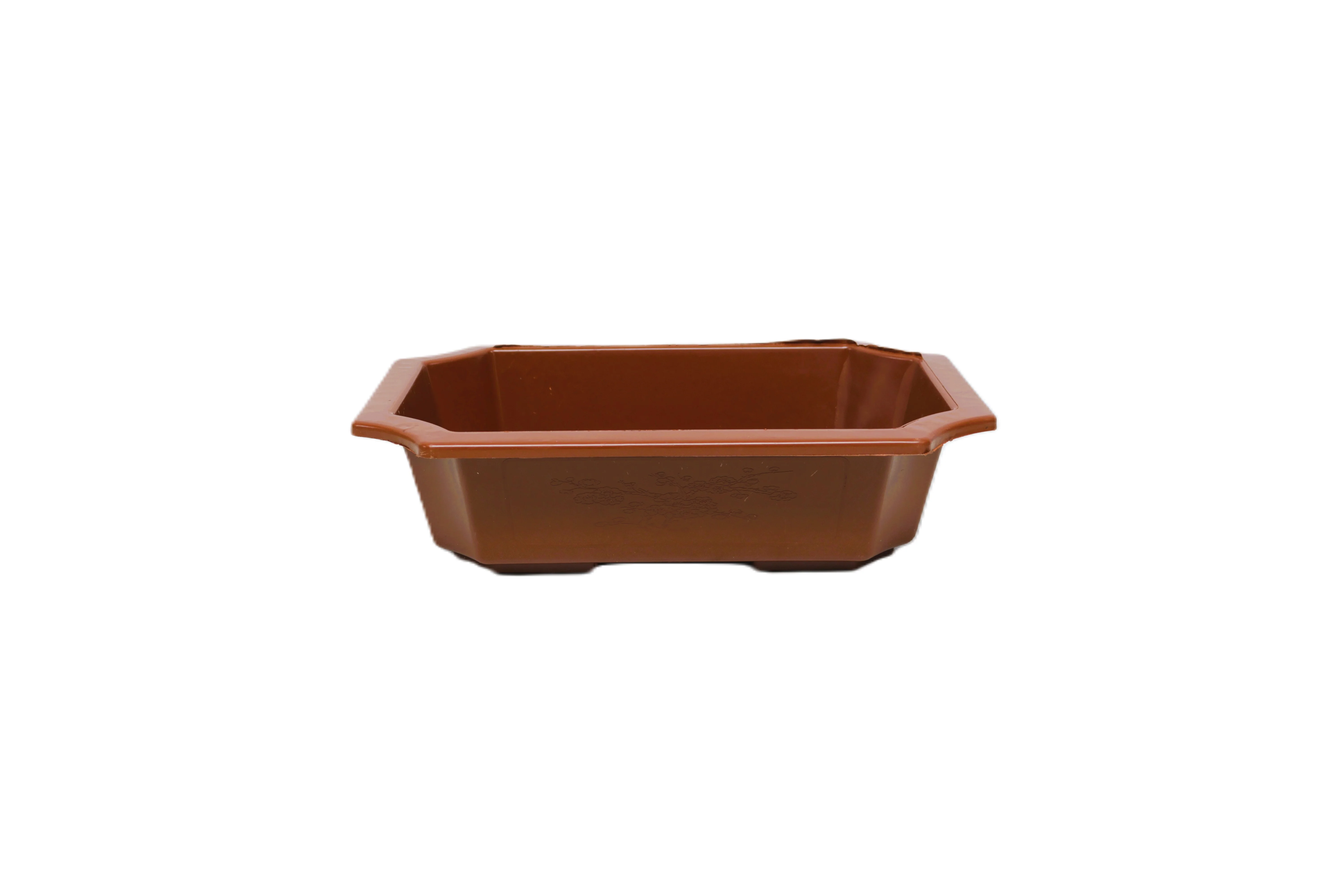 Pote Para Bonsái